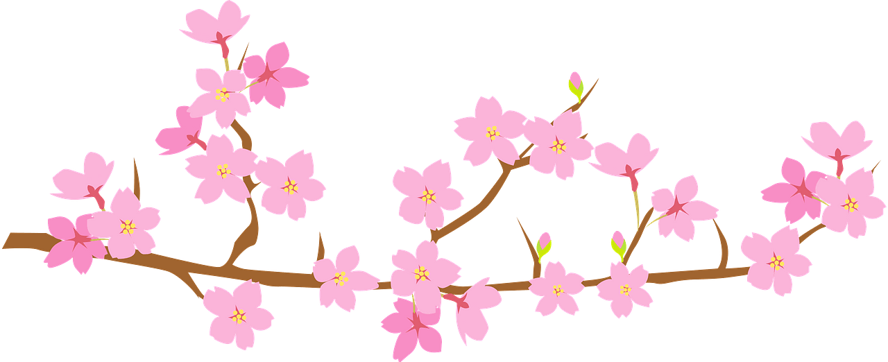Sakura branch decoration